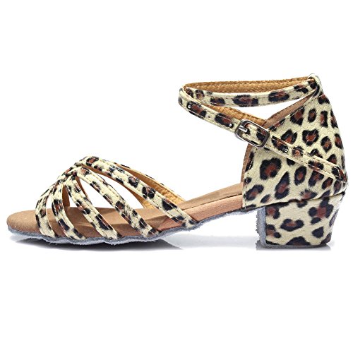 DKZSYIM Women&Girls Satin Latin Dance Shoes Low Heel Ballroom Salsa Tango Professional Performance Practice Dancing Shoes,Model 203