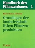 Handbuch des Pflanzenbaues, Bd.1, Grundlagen des Pflanzenbaues