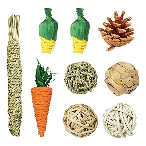 CAMITER 9 Pack Hamster Chew Toys, Gerbil Rat Guinea Pig Parrot Rats Chinchilla Chew Toys Accessories, Teeth Care Molar Toy for Rabbits Bird Bunny and Other Small Animals Cover