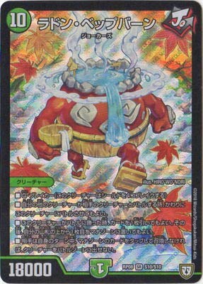 fG}X^[YV8e/DMRP-08/S10/SR/hExbvo[