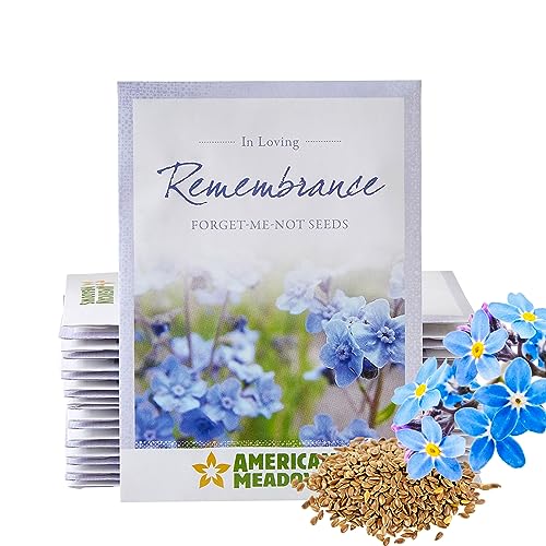 American Meadows Wildflower Seed Packets in Loving Remembrance Memorial Favors (Pack of 20) - Forget-me-Not Seed Mix, Favors for Funerals, Wakes, Viewings, Visitations, Memorial Services
