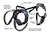 PetSafe CareLift Support Harness - Lifting Aid for Senior or Injured Dogs - Breathable Mesh - Machine Washable - Post-Surgery Dog Support - Large