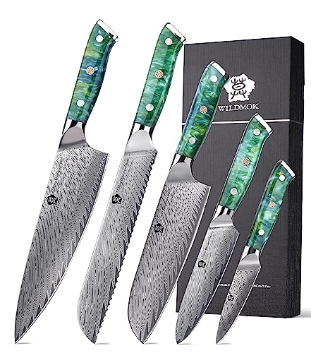 WILDMOK Damascus Knife Set 5 PCS With Gift Box,Kitchen Knife Professional Chef Knife Set 5 Piece, Ultra Sharp Japanese Damascus Stainless Steel Knife Set,Practical high-end gift