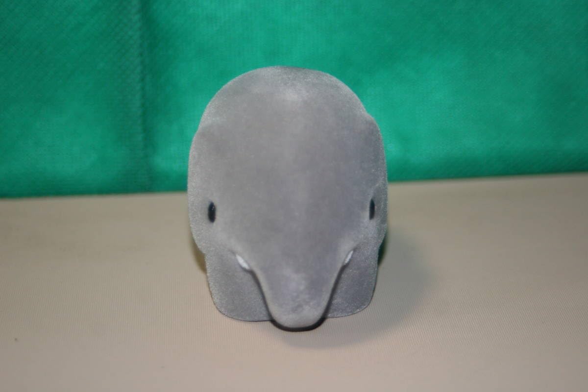 Amazon.co.jp: Dick Bruna ディック・ブルーナ ぞう フロッキング