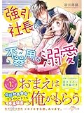 強引社長の不器用な溺愛 (ベリーズ文庫)