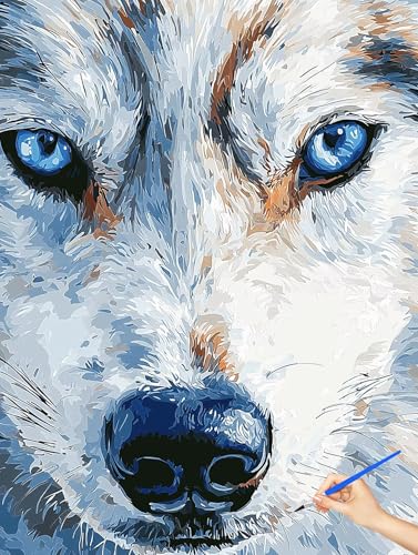 G  hG T Paint by Numbers io[yCg q S DIY Cheerful Painting H| |ph ANLbg l̂߂̃NGCeBuȎ av[g z[ ItBX̕Ǒ