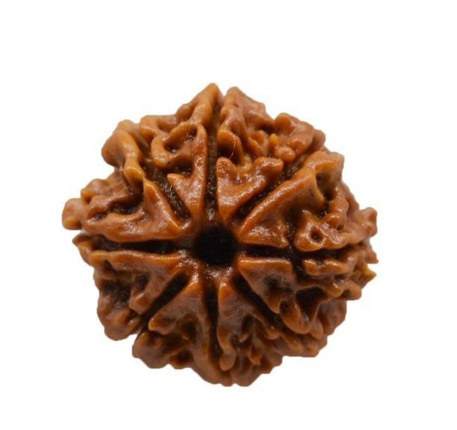 ishaSpirituals Original Certified Rudraksha Beads with Lab report of Authenticity Premium Rudraksha Big Size Natural Nepali Sink in Water Rudraksha of Nepal AAA Quality (8 Mukhi Rudraksha)-image-39