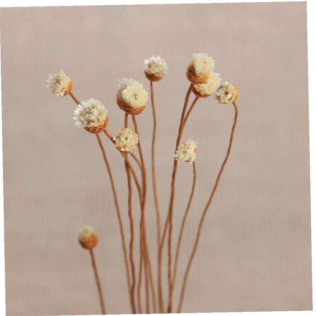20 Pcs/Set Diffuser Sticks Rattan Flower Bud Rose Replacement Refill Rattan Sticks for Essential Oil Diffuser for Home Bedroom Bathroom