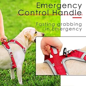 Thinkpet no pull harness breathable sport harness with handle  reflective padded dog safety vest with reflective neon dog leash m harness leash pack red   cucciolini doodles