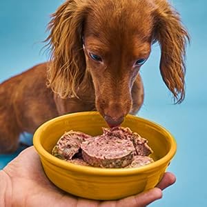 Visionary pet meals hen freeze dried canine meals excessive protein low carb and grain free made with human grade components for optimum diet and digestion  pure hen recipe 25oz bag   cucciolini doodles