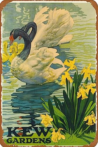 AJ AeB[N Ŕ̃uLŔ 20X30cm PEK[fhCOhO[guere[WsL B[W L AJ W 20X30cm