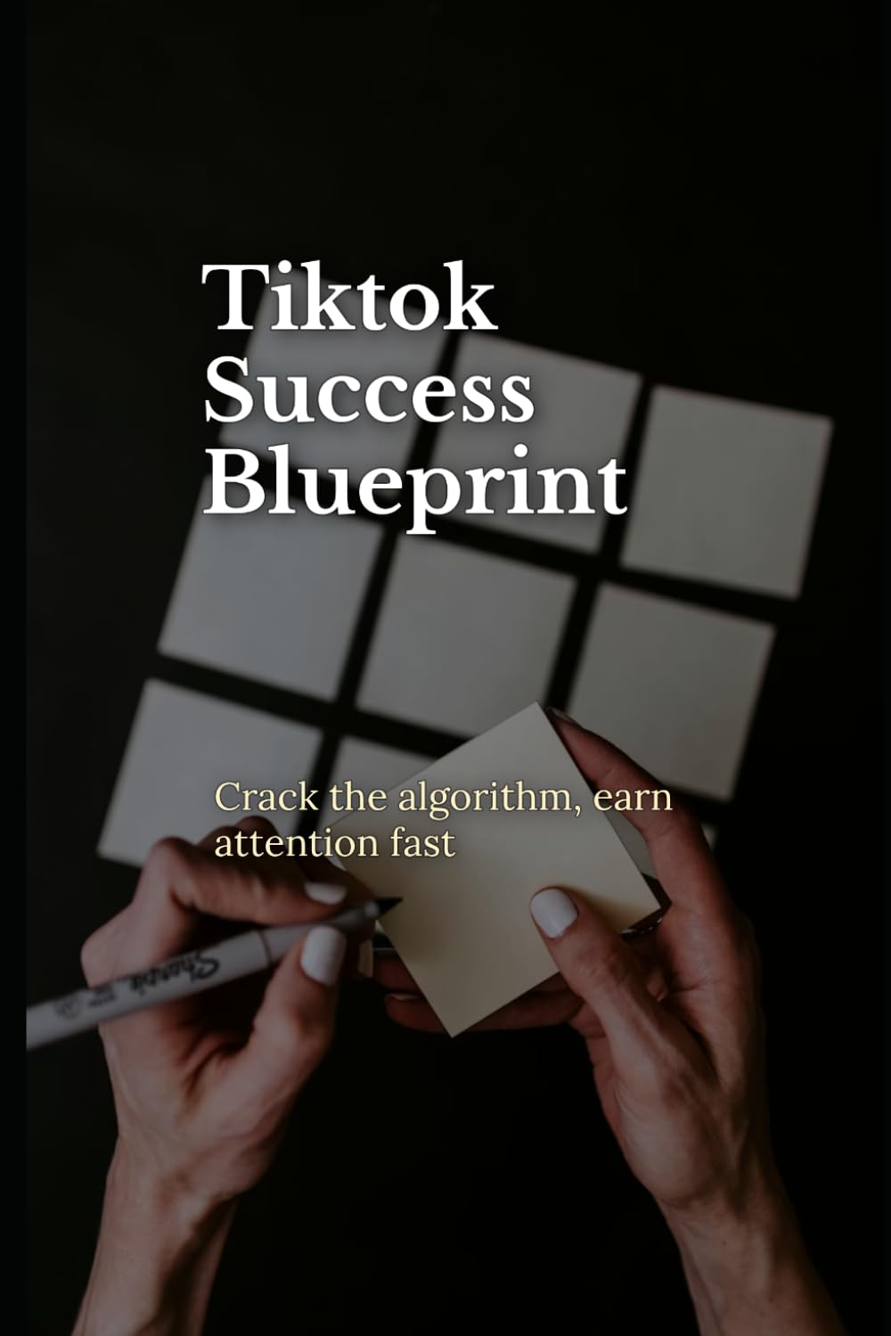 TikTok Success Blueprint