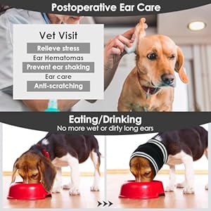 Iecoii dog calming hoodie head coverquiet ears for dogs noise protectionquiet dog headband soft dog ear wrap for anxiety reliefdog noise cancelling ear muffs for small dog and catsblack s   cucciolini doodles