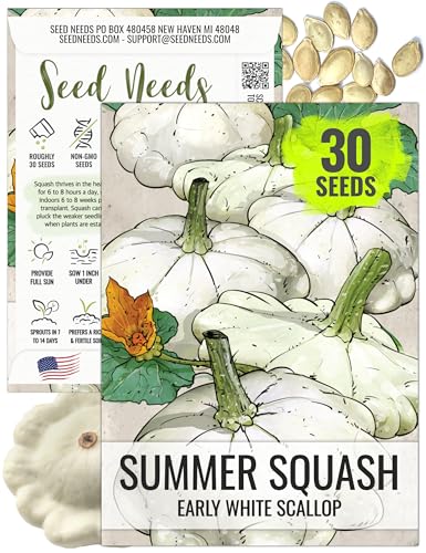 Seed Needs, Early White Scallop Squash Seeds - 30 Heirloom Seeds for Planting Cucurbita pepo - Edible Summer Squash to Grow an Outdoor Garden (1 Pack)