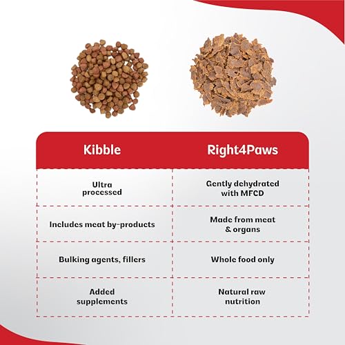 Image of Dry Dog Food - Ultimate Diet - Medium & Maxi Breed Diet for Adult with High Nutrition 85.7% Animal Source, Omega 3 & Omega 6 | Low Risk of Obesity| Reduced stools, 2kg