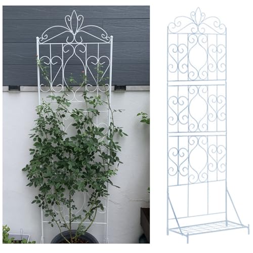 Treillis de jardin blanc pour clématites et rosiers sur votre terrasse ou balcon fleuri