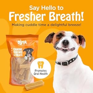 PIMA-Cheesy-Dental-Dog-Brush-Treat-Yak-Cheese-Dental-Chews-for-Dogs-Natural-Dog-Teeth-Cleaning-Treat-for-Fresh-Breath-Lactose-Corn-Grain-Soy-Rawhide-Free-16-oz-Honey-Comb - Cucciolini Doodles   PIMA-Cheesy-Dental-Dog-Brush-Treat-Yak-Cheese-Dental-Chews-for-Dogs-Natural-Dog-Teeth-Cleaning-Treat-for-Fresh-Breath-Lactose-Corn-Grain-Soy-Rawhide-Free-16-oz-Honey-Comb