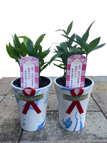 ɋOły߂i֓ȐjKĂԃ~jϗtAyȂ̖ white}[uJo[t 2Zbgz _ {×̖ ǉ vw~ _̏h Vj LO a hV̓ ̓ ̓ o^C zCgf[ N