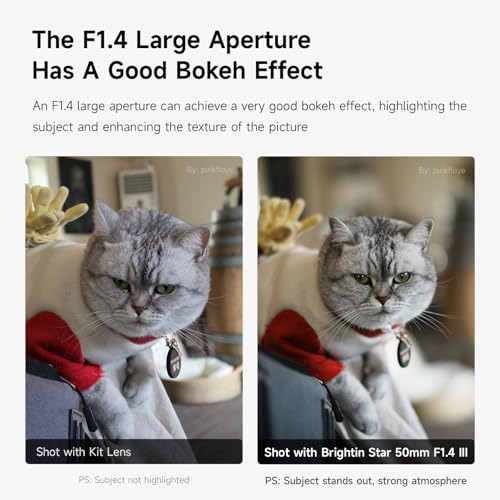 Brightin Star 50mm F1.4 III APS-C Lens for Panasonic LUMIX,Olympus Micro 4/3 Mount, Manual Focus MF Prime Large Aperture Mirrorless Camera Lens Fit for G7, GX85, GX9, G95, GH5, GH6, G100, G9 - Image 5