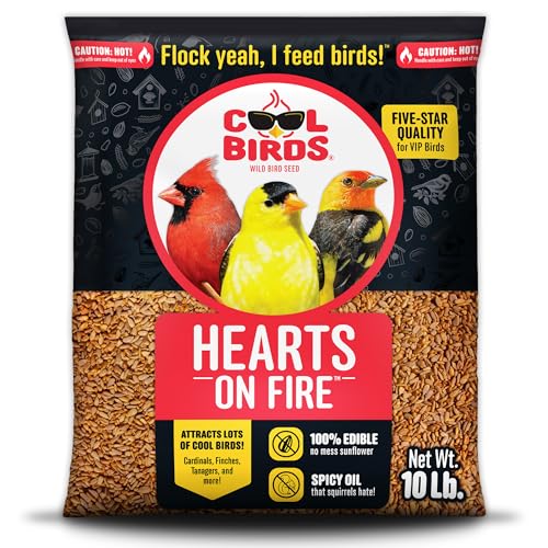 COOL BIRDS Hearts on Fire Hot Bird Seed – 10 lb. 100% Hulled Sunflower Hearts with Chili Pepper Oil – No Waste Bird Seed for Outside Feeders