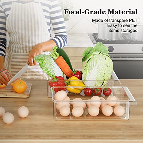 SNSLXH 2 Pack Refrigerator Drawer Organizer, Pull Out Shelf Storage Transparent Organizer for Egg, Fruit, Vegetable, Sea - Additional View