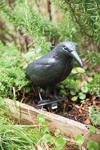 Esschert Design FY18 - Spaventapasseri, 12,9 x