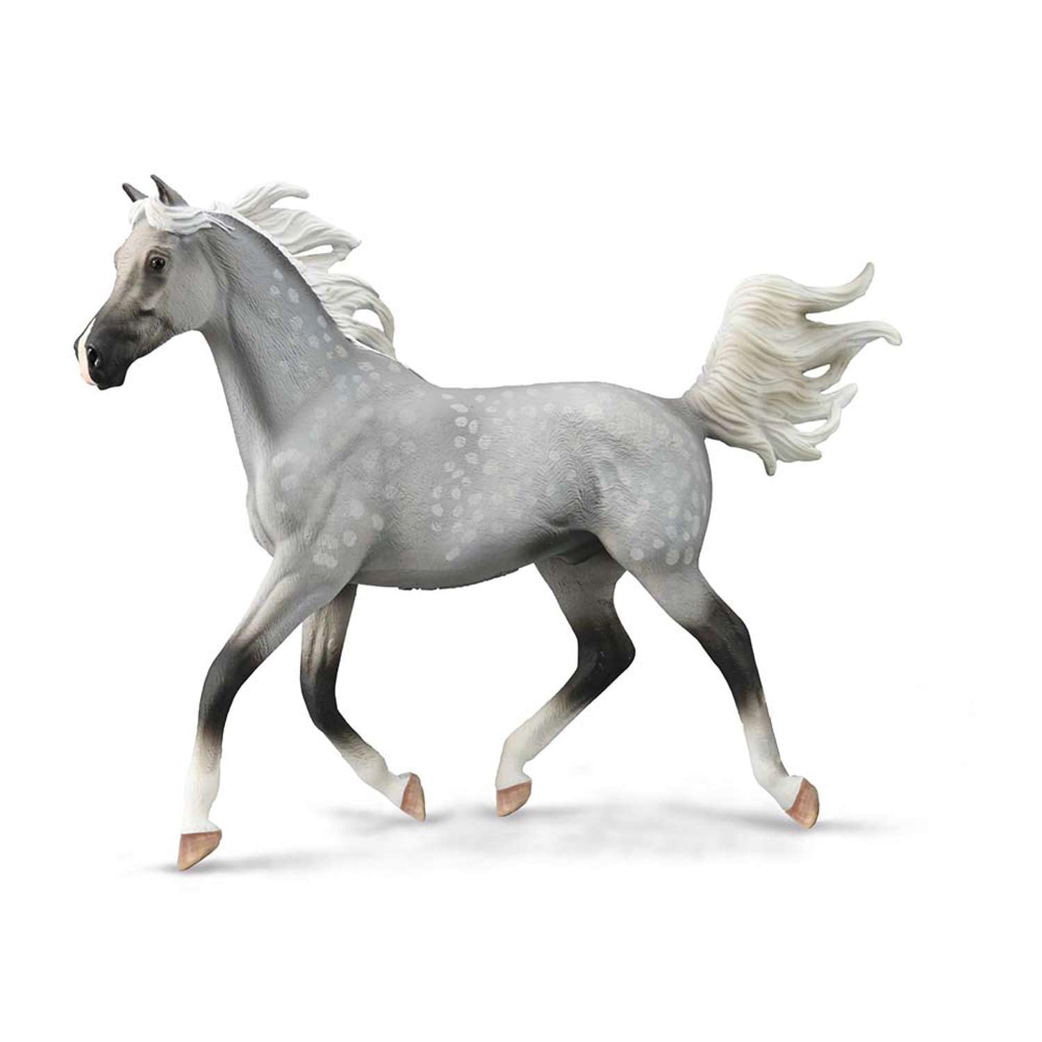 Collecta