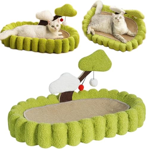 �L �� ���� �L�p�܂Ƃ��}�b�g �ϋv�� �L�p�܂Ƃ� �V�R�T�C�U���� �L�x�b�h ����~�� �L�\�t�@�[ �Ƌ�j��h�~ �^���s�����P �X�g���X���� �l�R�̒܂Ƃ� �L�������� �y�b�g�p�i