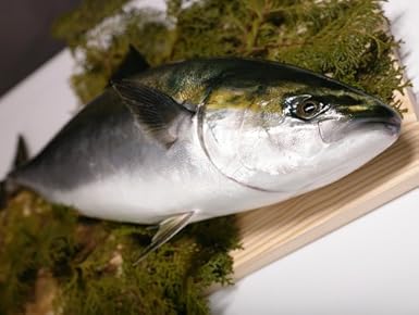 Amazon 鹿児島県長島産ぶり 養殖 1尾 4 5 5kg前後 活き絞め 神経抜き 3枚おろし 真空パック はちまるはち 鮮魚 通販 Amazon 鹿児島県長島産ぶり 養殖 1尾 4 5 5kg前後 活き絞め 神経抜き 3枚おろし 真空パック はちまるはち 鮮魚 通販
