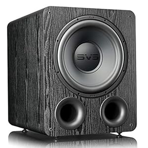 SVS PB-1000 Pro Ported Subwoofer (Premium Black Ash)