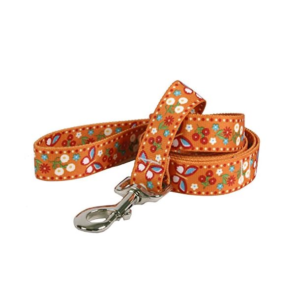 Yellow dog design standard lead, festive butterfly orange, 1" x 60" (5 ft. )