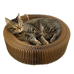 Cat Scratcher Lounge Bed – Collapsible Round Shape for Big cat