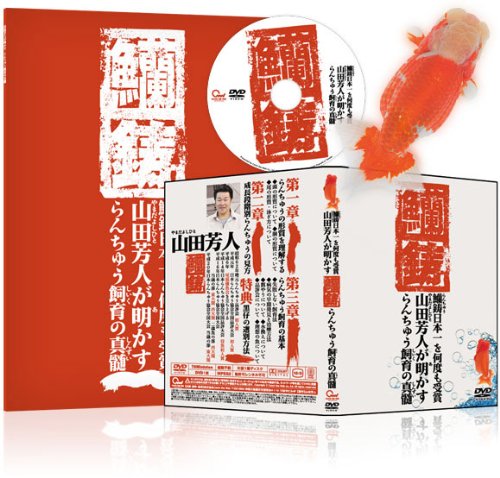 速報 らんちゅう氏トリックルームピクシーを使う 改造 ニコニコ動画