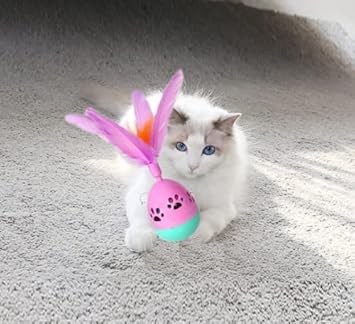 Petlicious & More Cat Toy Interactive Rolly Polly Tumbler with Feather Toy & Treat Despensing Toy Feather Toy (Color May Vary)