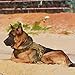 ICEFANG Tactical Dog Harness,X-Large Size, 2X Metal Buckle,Working Dog MOLLE Vest with Handle,No Pulling Front Leash Clip,Hook and Loop Panel