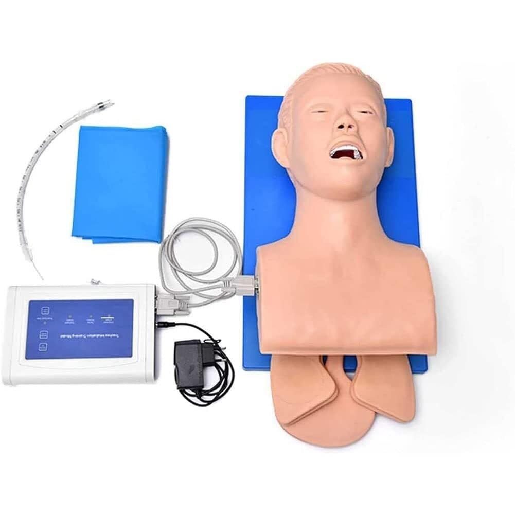 Modelo de intubación para adultos, simulador de intubación traqueal, PVC para adultos, modelo de instrucción de maniquí, entrenador de gestión de la vía aérea, intubación traqueal, simulador de