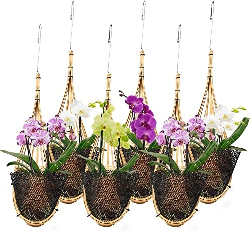 Plantador de orquídea para pendurar 12 cm, pacote com 6 com ganch...