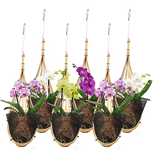 lanccona Orchid Hanging Planter 5 Inch 6 Pack with Bird Nest Style Plant Hangers, Handmade Thai Bamboo Woven Hanging Orchid Basket for Trellis Gazebo Indoor Outdoor