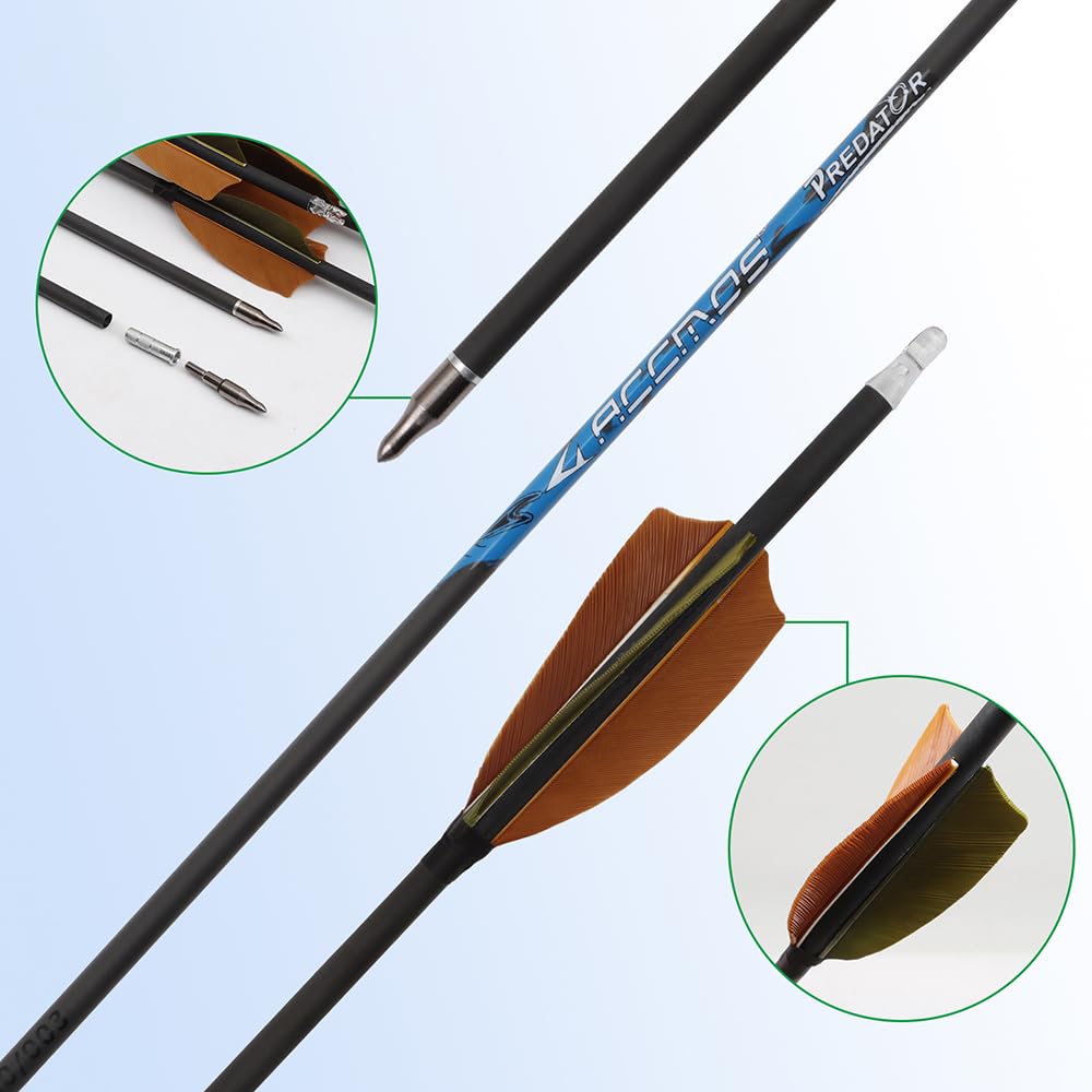 12 Stück Jagdpfeile ID 6,2 mm Spine 250 300 350 400 500 600 700 800 Mikrospiral-Feder Pfeil, für Recurvebogen Compoundbogen Bogenschießen