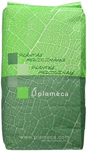 Plameca Ortosifon Stamineus Trit. 1 Kg 100 g