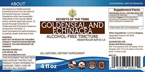 Goldenseal and Echinacea Alcohol-Free Liquid Extract, Organic Herbs (Echinacea Root (Echinacea Purpurea), Goldenseal Root (Hydrastis Canadensis)) Tincture Supplement (4 FL OZ)