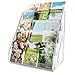 TrendTrust Trading Card Display Stand, Vertical Holder for Baseball Basketball Sports Graded Card Display Stand Tabletop for PSA BGS SGC Slabs, Snap-On Assembly(5 Tier, 1 Pack)