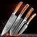 4 Stück Küchenmesser Japane Damaszenermesser Chef Boning Schnipsel-Utility-Farbe Holz leicht Griff Best Family Geschenk-Werkzeug