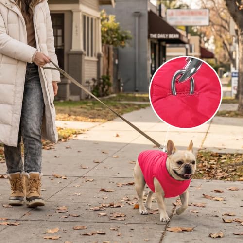 Image of JoyDaog Fleece Lined Dog Jacket for Small Dogs,Winter Dog Coat,Pink XS | Warm Windproof Puppy Vest for Cold Weather,Soft Cozy Doggie Clothes for Smaller Dog Breeds,Indoor Sleeping,Daily Walk