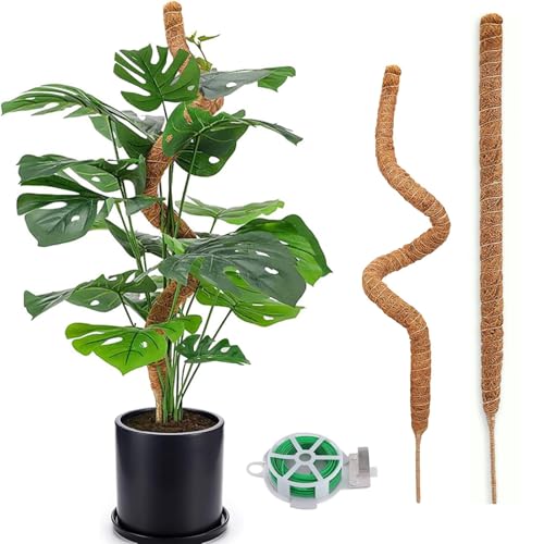 JUNXINHENGFA Xe x 100cm X|[ K[fjOpx AT|[g |p Ȃ   ϗtA 20m̐jt