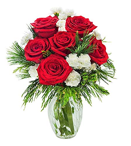 KaBloom - Winter's Rose Bouquet of Red Rose, White Mini Carnations Accented with Green with Vase -Fresh Flowers for Birthday, Valentine's & Mother's Day