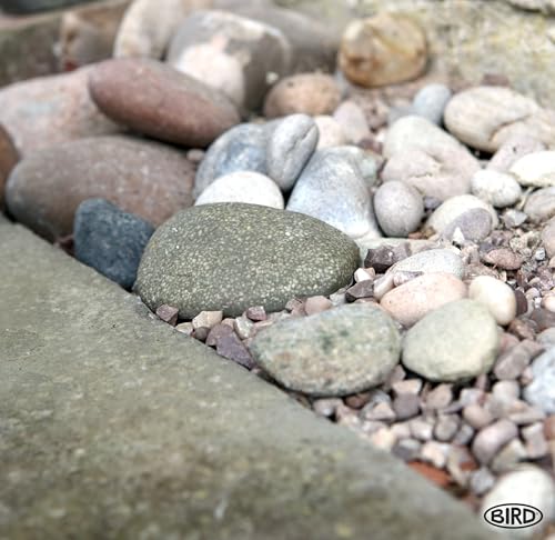 BIRD Key Rock - Fake rock hidden storage key hider outside - Hide a key in plain sight BIRD Key Rock - Fake rock hidden storage key hider outside - Hide a key in plain sight