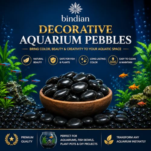 Image of Bindian Decorative Pebble Stone, Multicolour, Natural Stone, Smooth & Polished, for Aquarium, Garden, Plant Pot, Fountain Decor (5 Kg, Black)