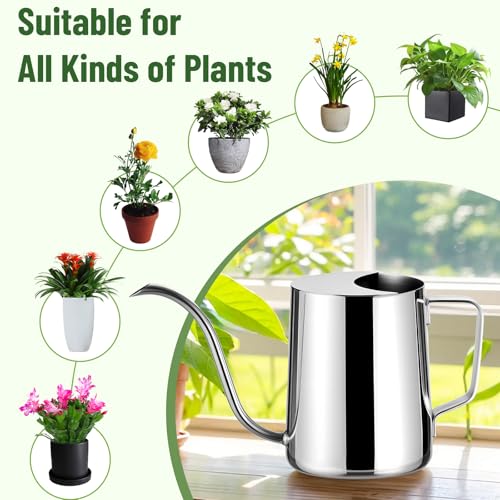 Image of Watering Can for Indoor Plants, Indoor Watering Can with Long Spout and Handle Rust-Proof 304 Stainless Steel Material (600ml /20oz)
