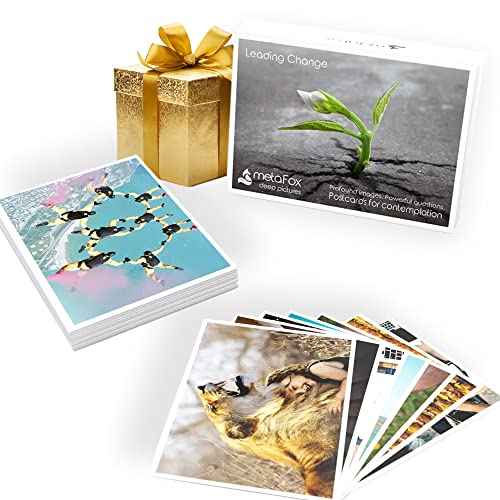 metaFox | Leading Change Postcards Pack | 52 Cards for Coaching & Change Management | Based on the 8-Step Process for Leading Change by John P Kotter (Inglés) Cover